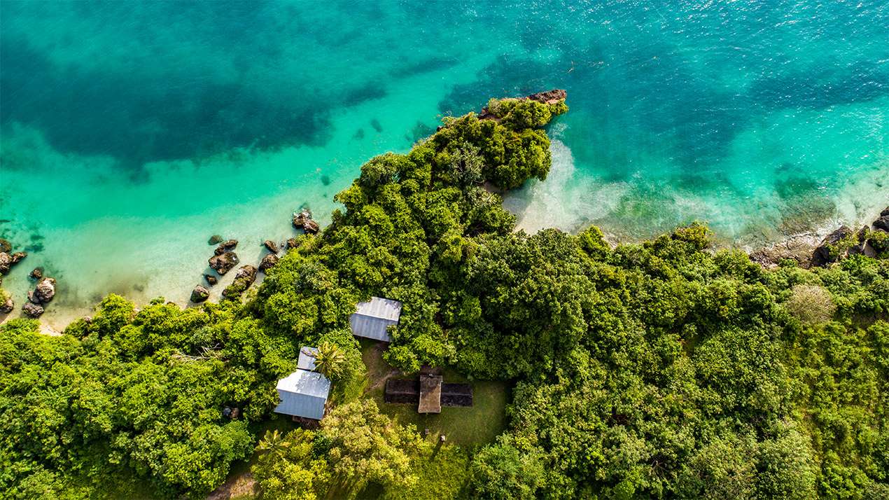Tanzania Safari Highlights