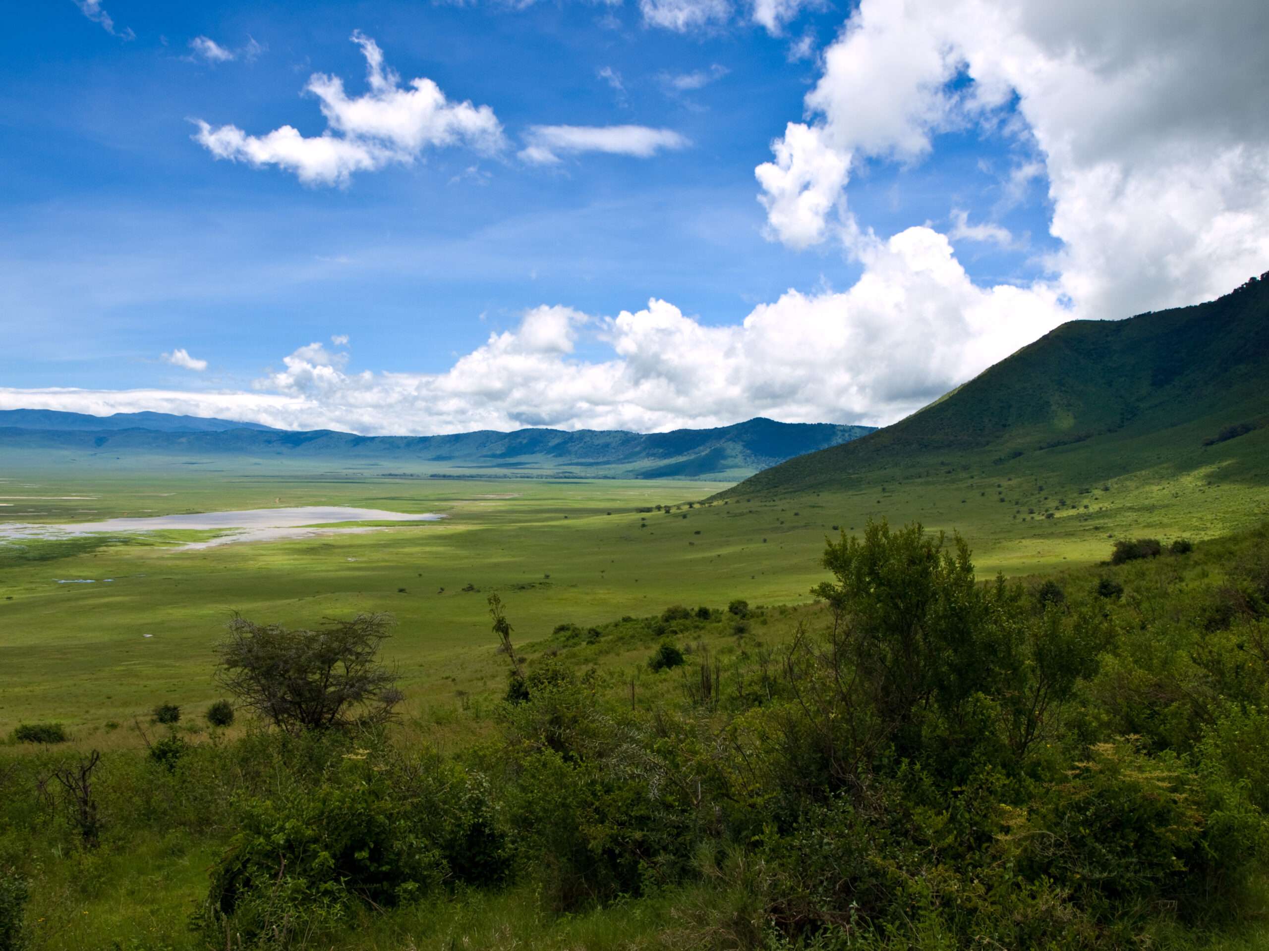2 Days Tarangire National Park & Ngorongoro Crater