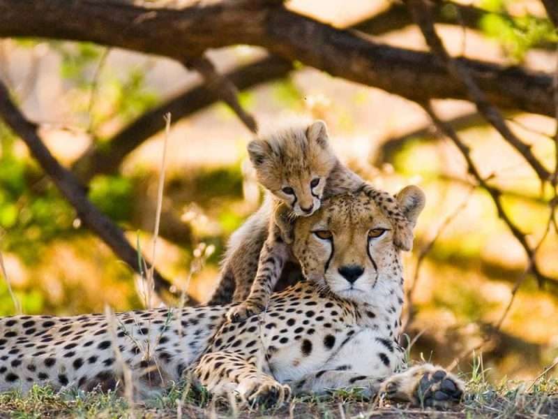 Katavi National Park