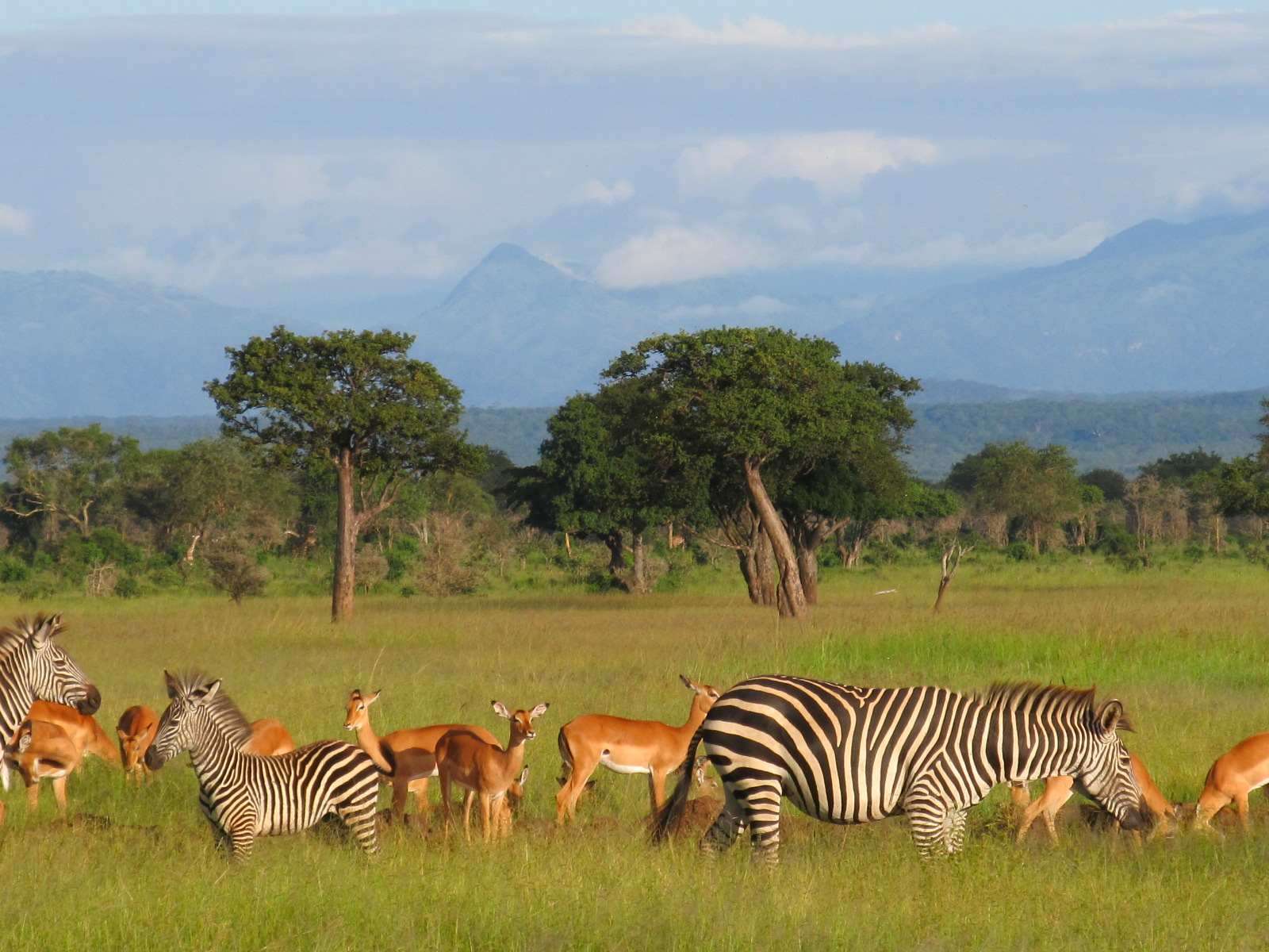 Lake Manyara National Park Day Trip