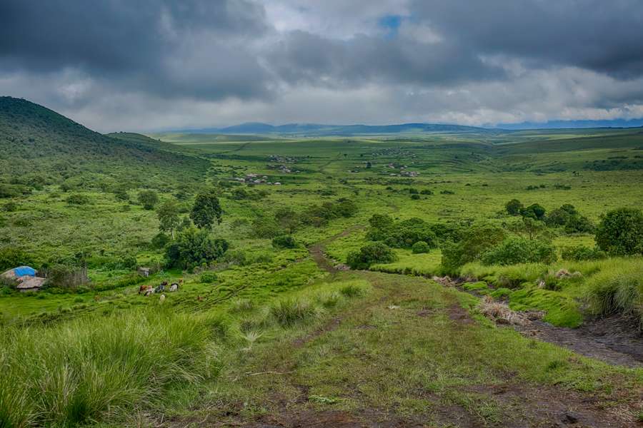 Ngorongoro Highland