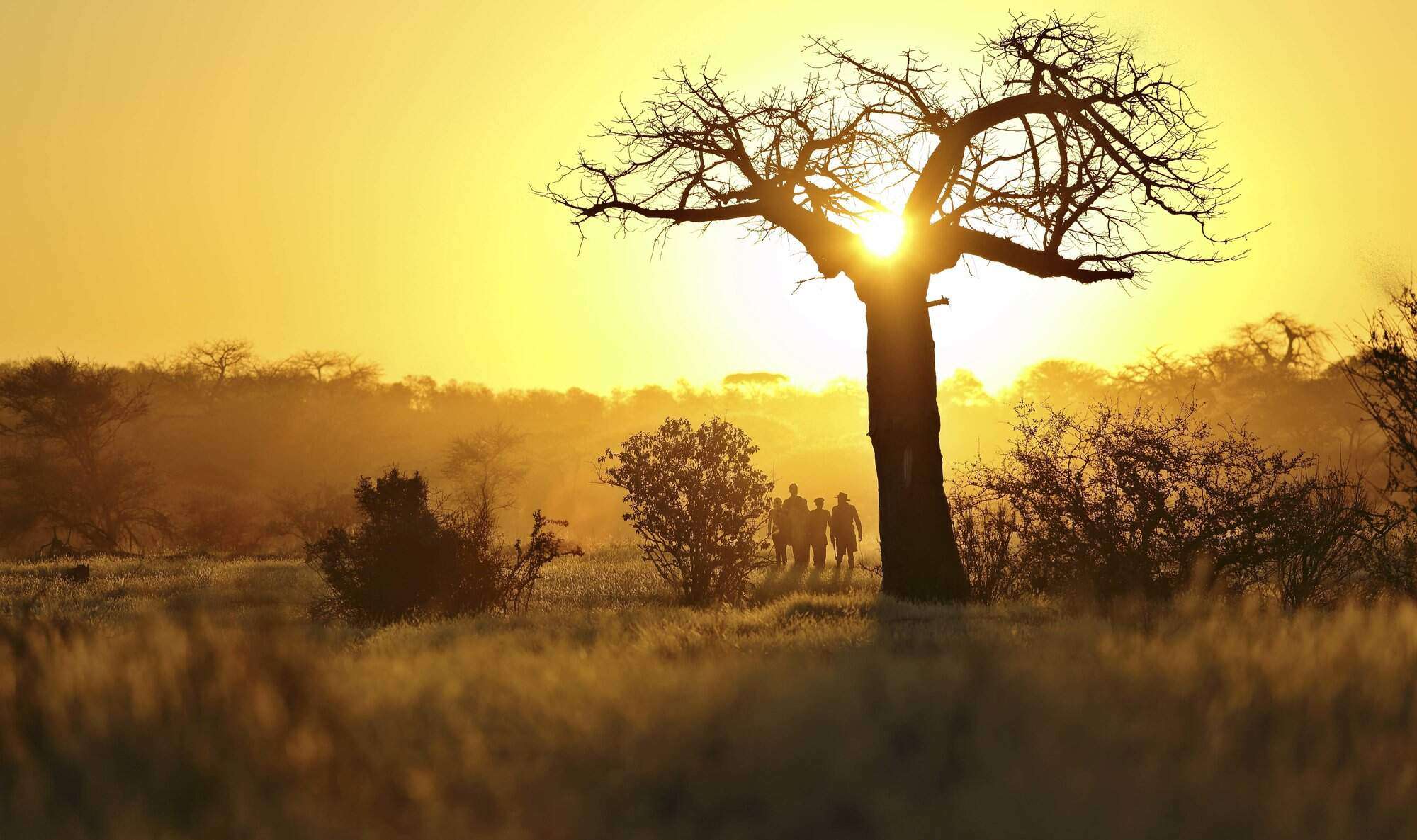 3 Days Ruaha Fly in Safari