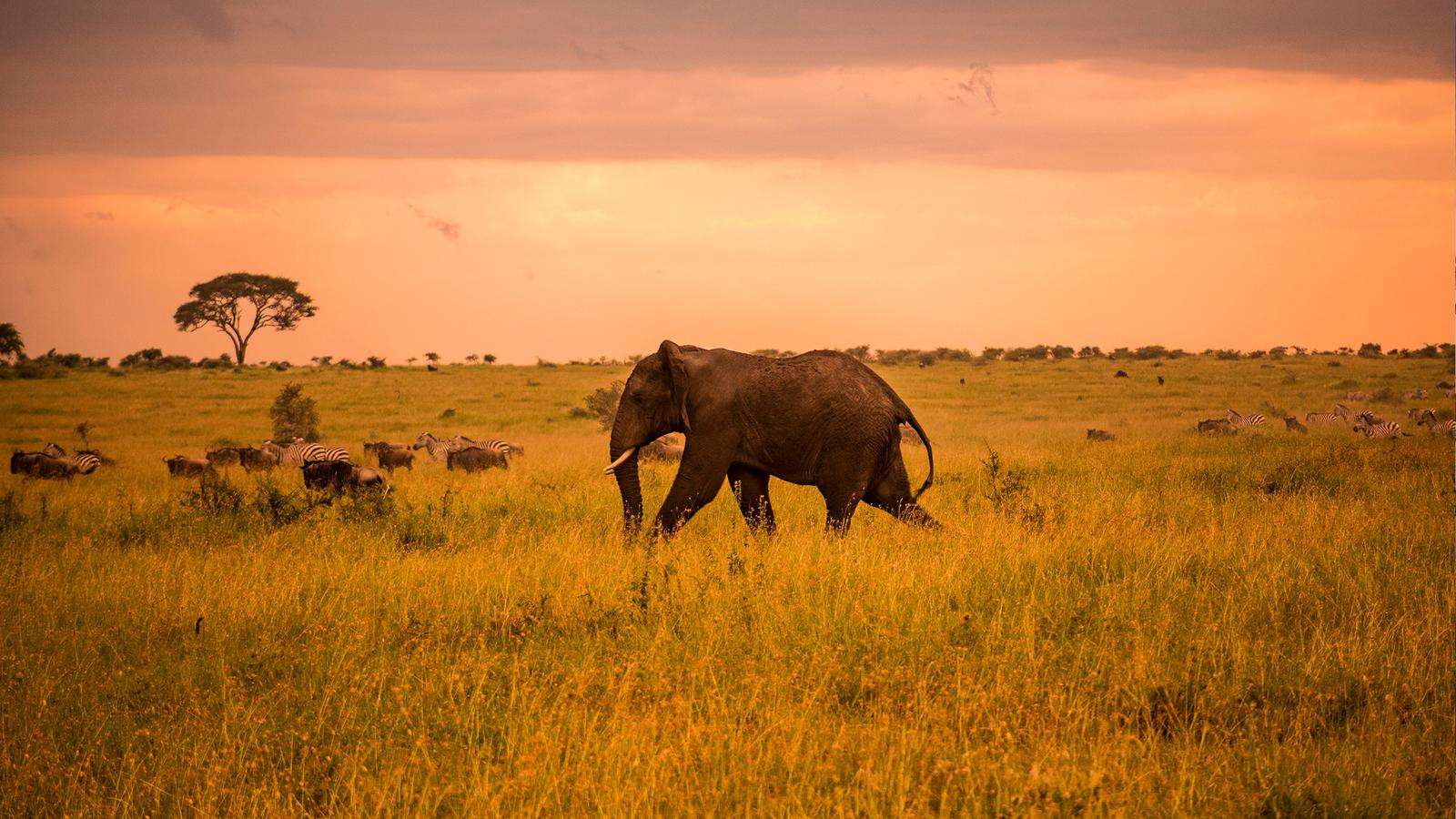 3 Days Serengeti National Park