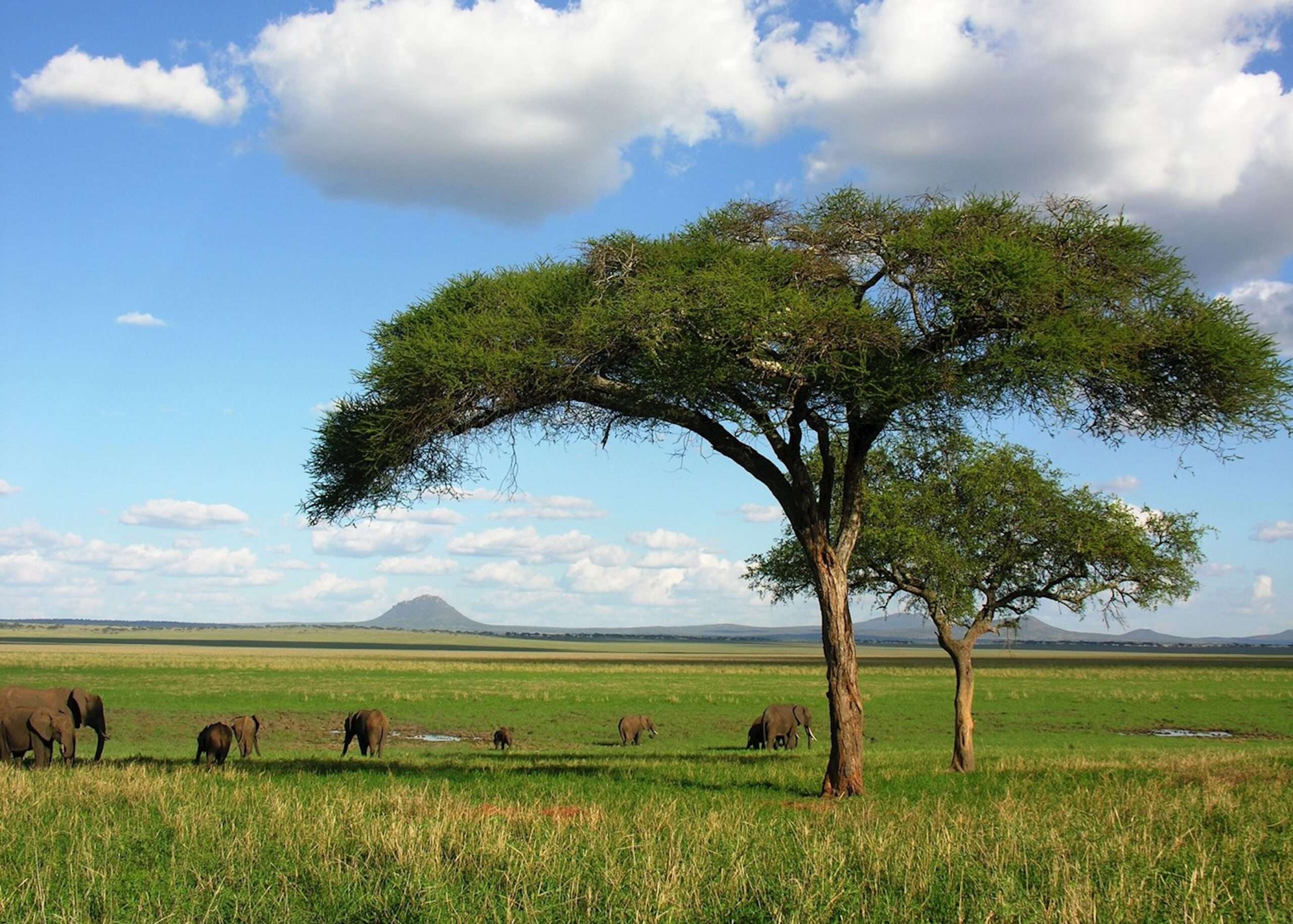 7 Days Serengeti Migration Safari