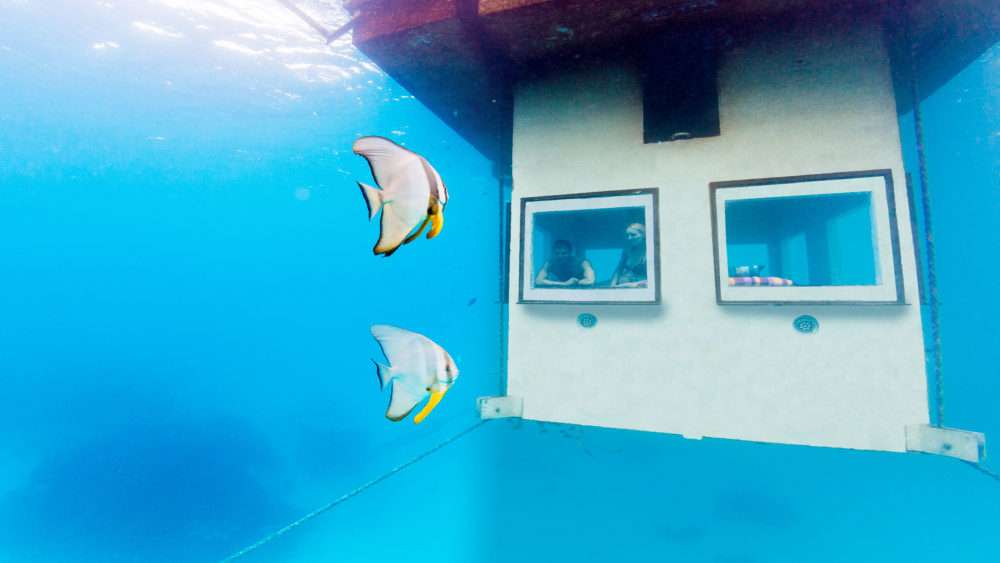 4 Days Pemba Island