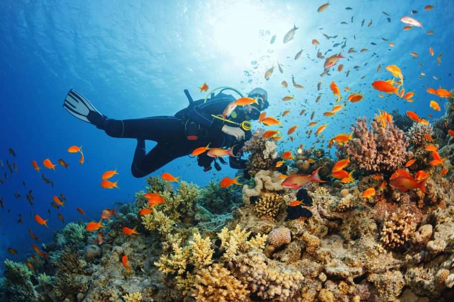 6 Days Zanzibar Beach Holidays